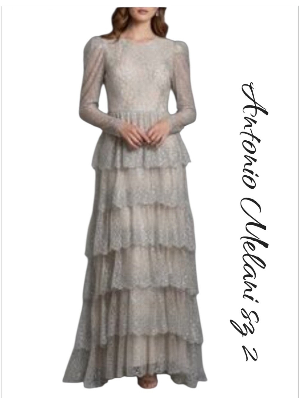 Antonio Melani Clara Dress Metallic Lace Ruffle Long Sleeve Maxi NWT Sz 2